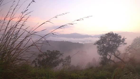 View Of Foggy Sunrise On The Little Adam's Peak In Ella, Sri Lanka 24 alt