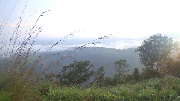 View Of Foggy Sunrise On The Little Adam's Peak In Ella, Sri Lanka 32 alt