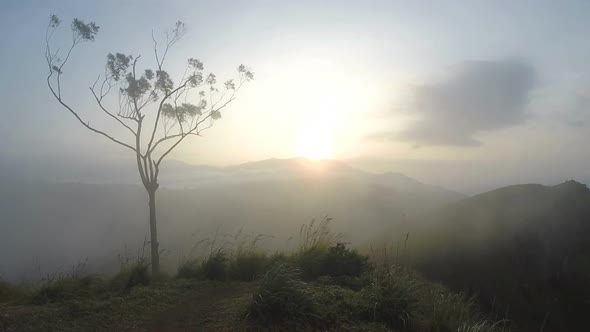 Magical Sun Rising At Ella Peak, Sri Lanka. 4 alt