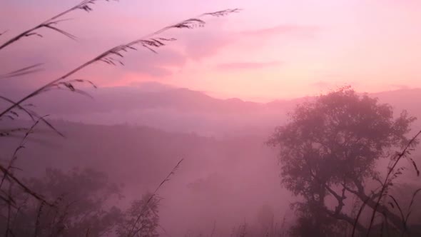 Timelapse Of Foggy Sunrise On The Little Adam's Peak In Ella, Sri Lanka 2 alt