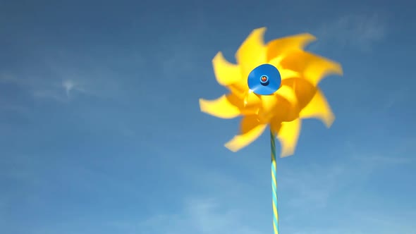 Tracking of flower bed in front of wooden house 19 alt