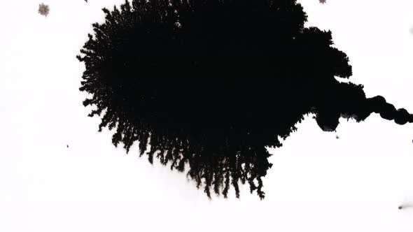 Black Ink Drops On White Background alt