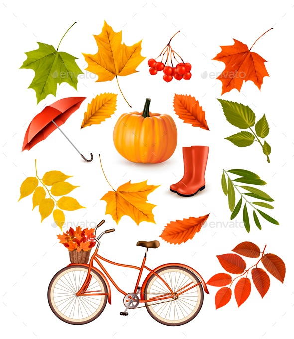 Set Of Colorful Autumn Leaves And Objects Vector - Objects Vectors