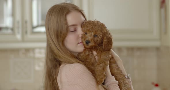 Young beautiful girl holding a poodle puppy in her arms. presses to itself. The puppy yawns.