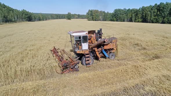 Harvester Collects Oats.