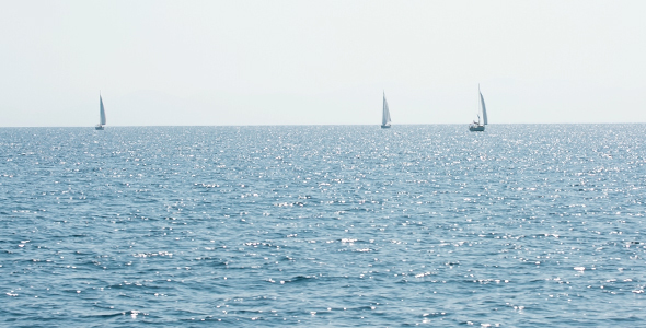 Sea Cruise With Sailboats