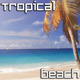 Tropical Beach With Palm  - VideoHive Item for Sale