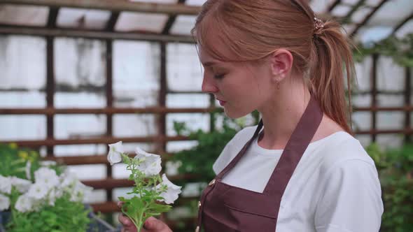 Girl in an Apron at Work in a Greenhouse Transplants Flowers Slowmotion Video