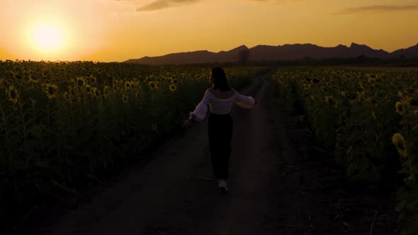 slow-motion of cheerful woman walking and enjoying with sunflower field at sunset