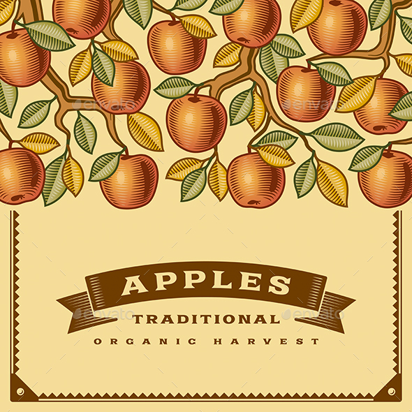 Retro Apple Harvest Card - Food Objects