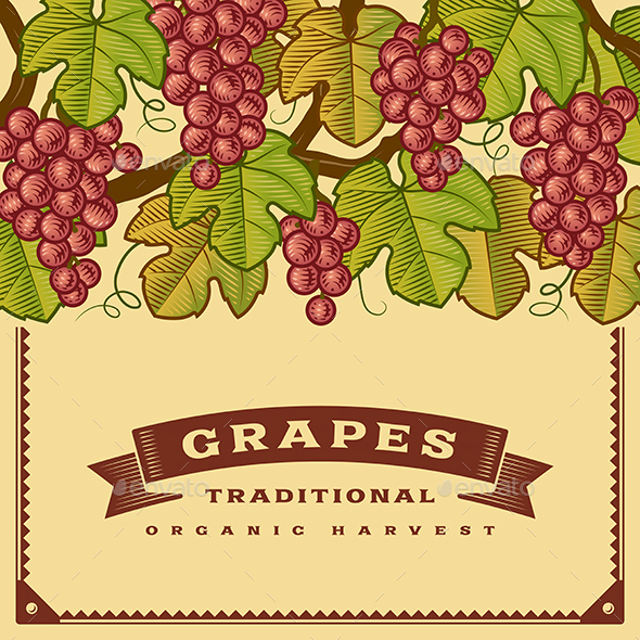 Retro Grapes Harvest Card - Food Objects