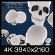 Rain Skulls Transition 2 - VideoHive Item for Sale