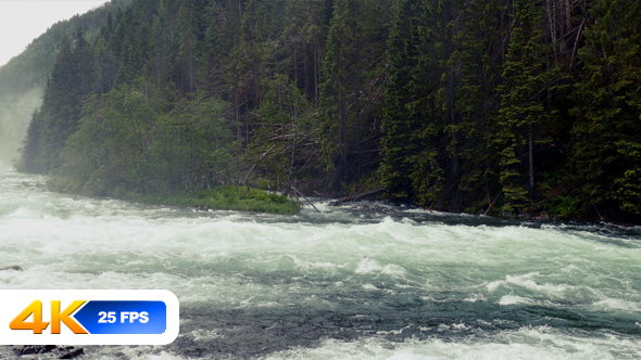  Wild River in Forest alt