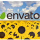 Sunflower Logo - VideoHive Item for Sale