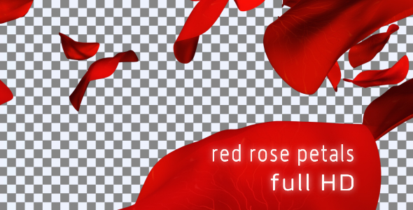 Red rose petals