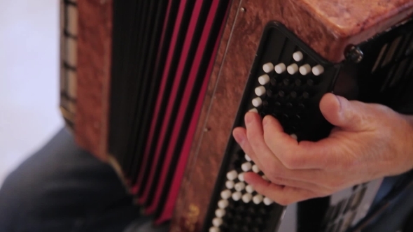 An Accordionist Plays a Melody