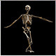 Halloween Skeleton Dance - VideoHive Item for Sale