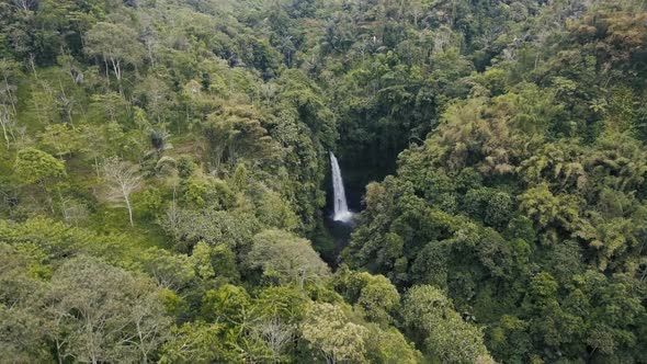 Above High Waterfall In The Jungle
