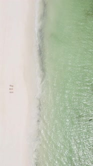 Vertical Video of the Beach on Zanzibar Island Tanzania alt