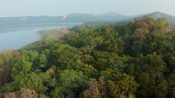 pullback shot from Jungle reservoir and mountains in a Green Indian Jungle alt