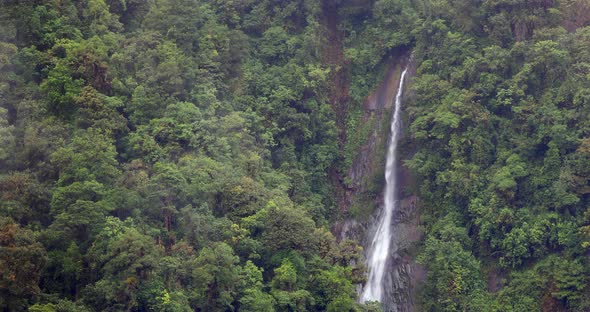 Rainforest in Tapanti national park, Costa Rica alt