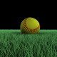 Softball Rolling on Grass - VideoHive Item for Sale