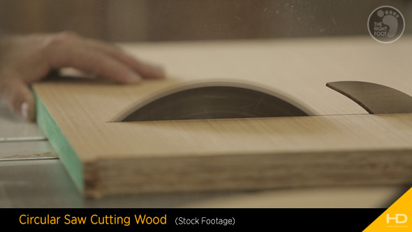 Circular Saw Cutting Wood