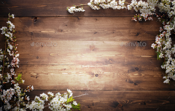 Summer Flowers on wood texture background Stock Photo by ...