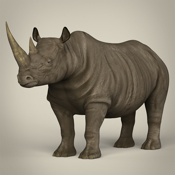 Realistic Rhinoceros - 3Docean 13162616