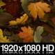 Falling Leaves Fill Screen Overlay - VideoHive Item for Sale