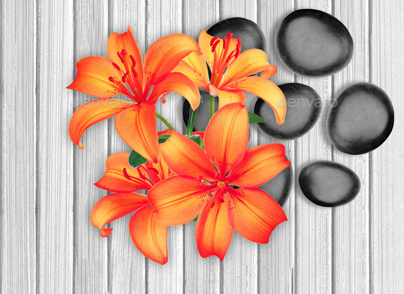 Black spa stones and red lily on white wooden background