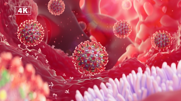 Coronavirus invasion process in human cells medical 3D animation