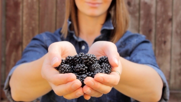 Woman Holding Blackberry In Hands alt
