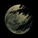 Moon Rises Behind Trees In Strong Wind Moon Rises Behind Trees In Strong Wind - VideoHive Item for Sale