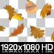 Blowing &amp; Falling Leaves - VideoHive Item for Sale