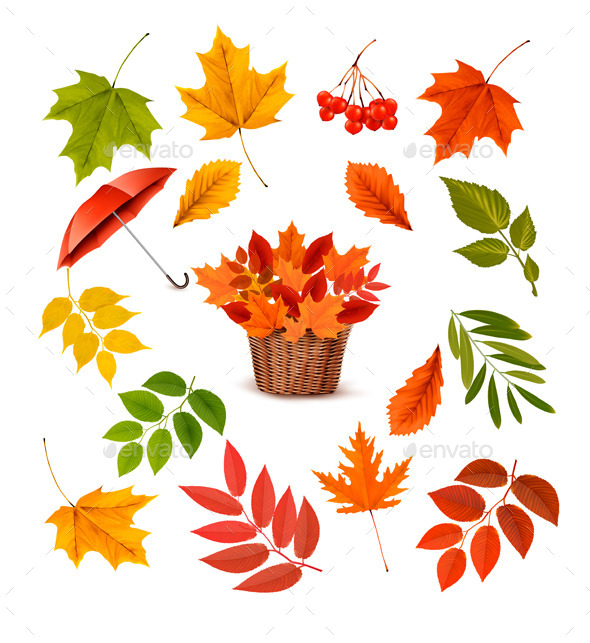 Set of Colorful Autumn Leaves and Objects - Flowers & Plants Nature