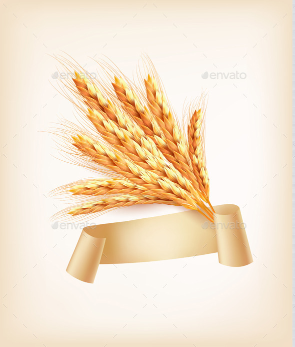Ears of Wheat - Flowers & Plants Nature