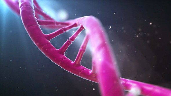 DNA Helix - VideoHive 13220798