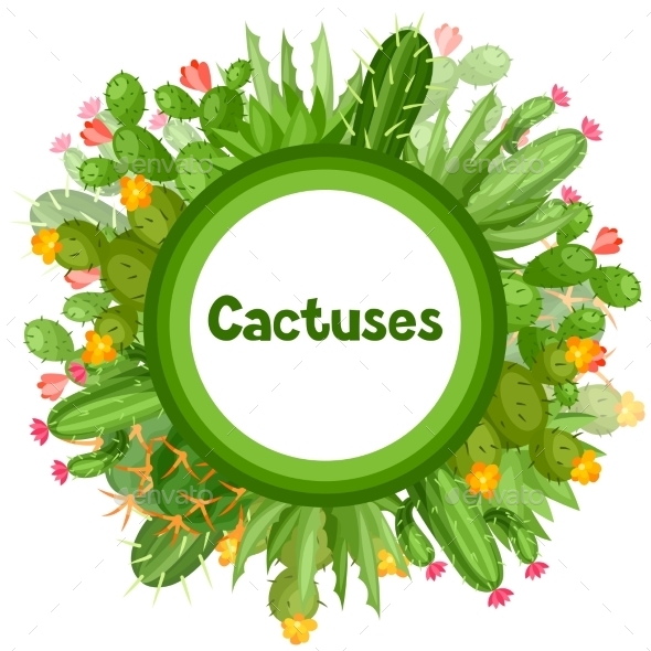 Cactuses And Plants Abstract Natural Background - Flowers & Plants Nature