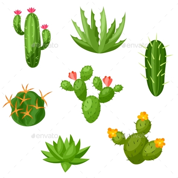 Collection Of Abstract Cactuses And Plants - Flowers & Plants Nature