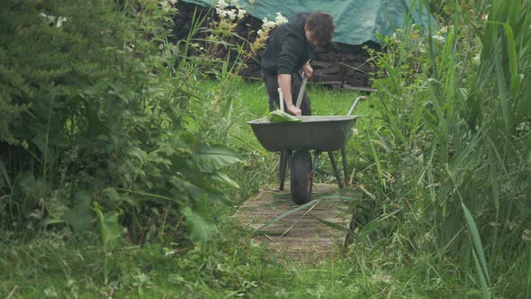 Young man out gardening filling wheelbarrow with clippings alt