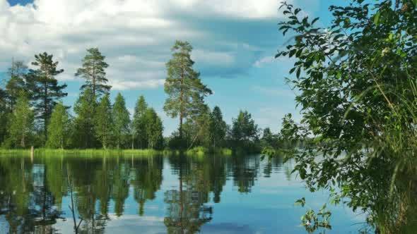 Beautiful Lake Landscape With Forest on the Bank