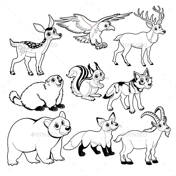 Wood and Mountain Animals in Black and White - Animals Characters