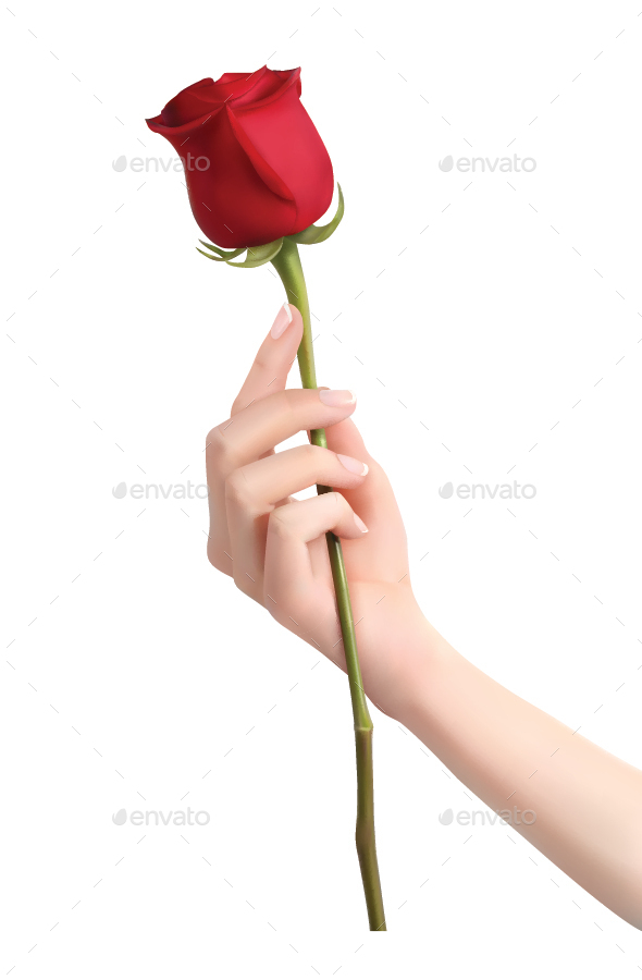 Hand Holding Rose By Grebenuk GraphicRiver - 590x900 - jpeg Hand Holding Rose