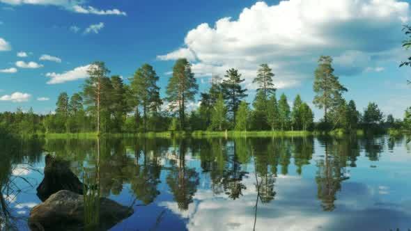 Beautiful Lake Landscape With Forest on The Bank