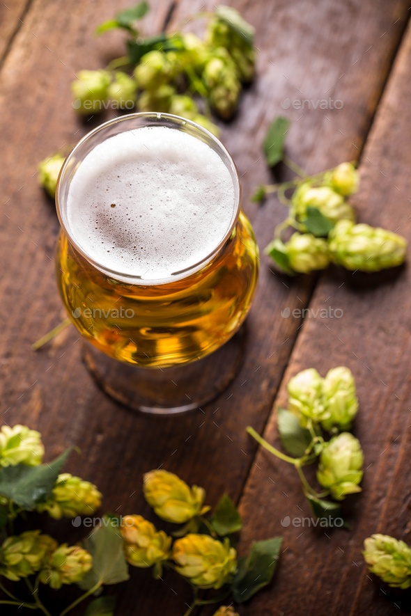 Glass of beer - Stock Photo - Images