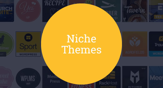 20+ Niche Themes