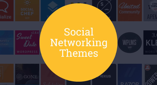 20 Social Networking Themes