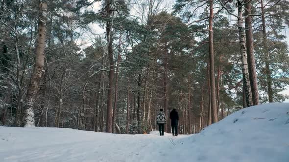Couple Walking On A Path In Winter Time Forest Nature Landscape