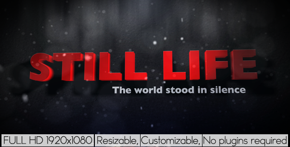 Still Life - VideoHive 1331338